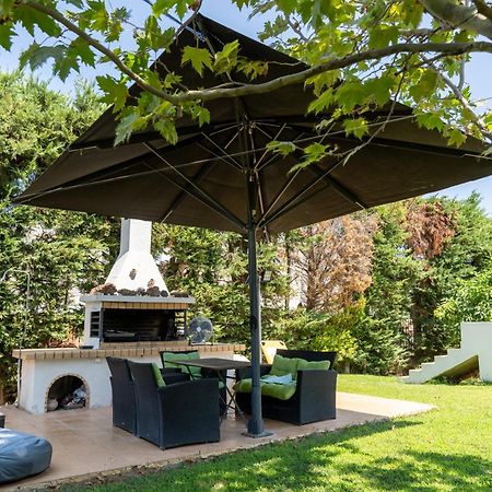 Beautiful Summer Villa In Chalkoutsi Khalkoutsion Buitenkant foto