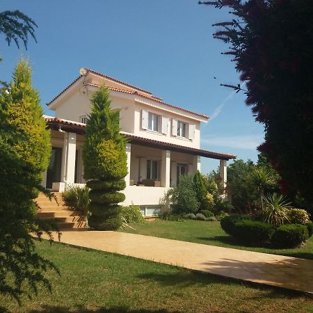 Beautiful Summer Villa In Chalkoutsi Khalkoutsion Buitenkant foto