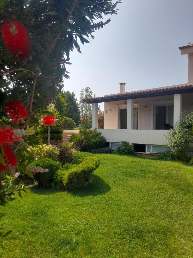 Beautiful Summer Villa In Chalkoutsi Khalkoutsion Buitenkant foto