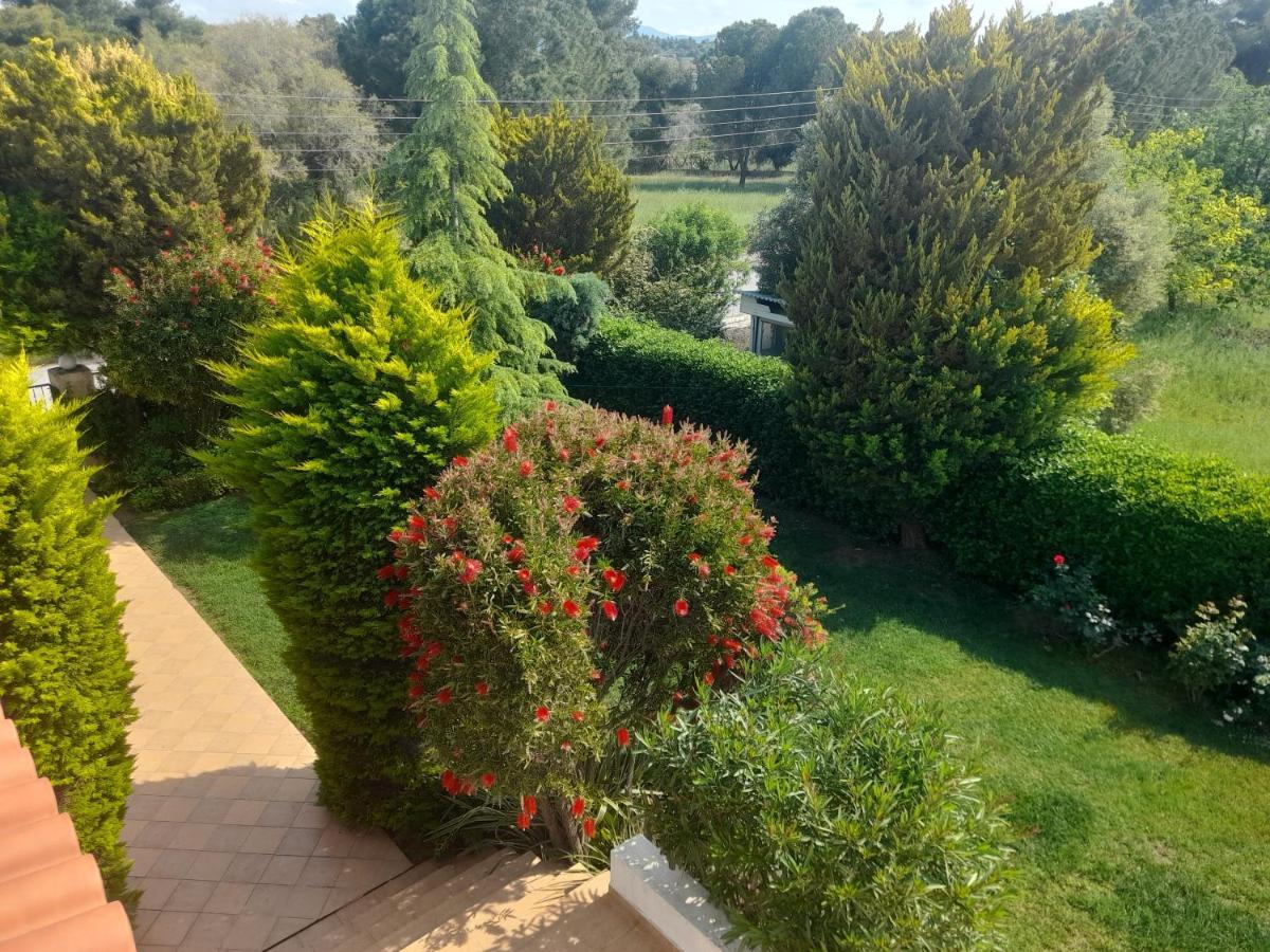 Beautiful Summer Villa In Chalkoutsi Khalkoutsion Buitenkant foto