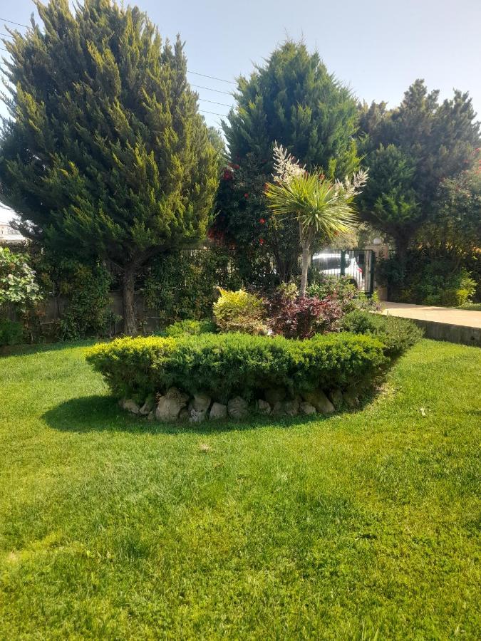 Beautiful Summer Villa In Chalkoutsi Khalkoutsion Buitenkant foto