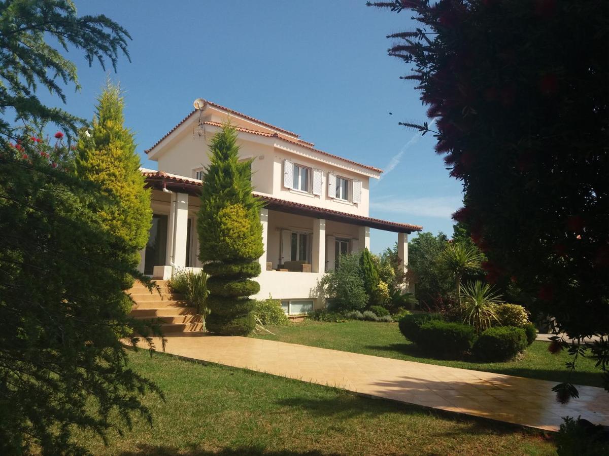 Beautiful Summer Villa In Chalkoutsi Khalkoutsion Buitenkant foto
