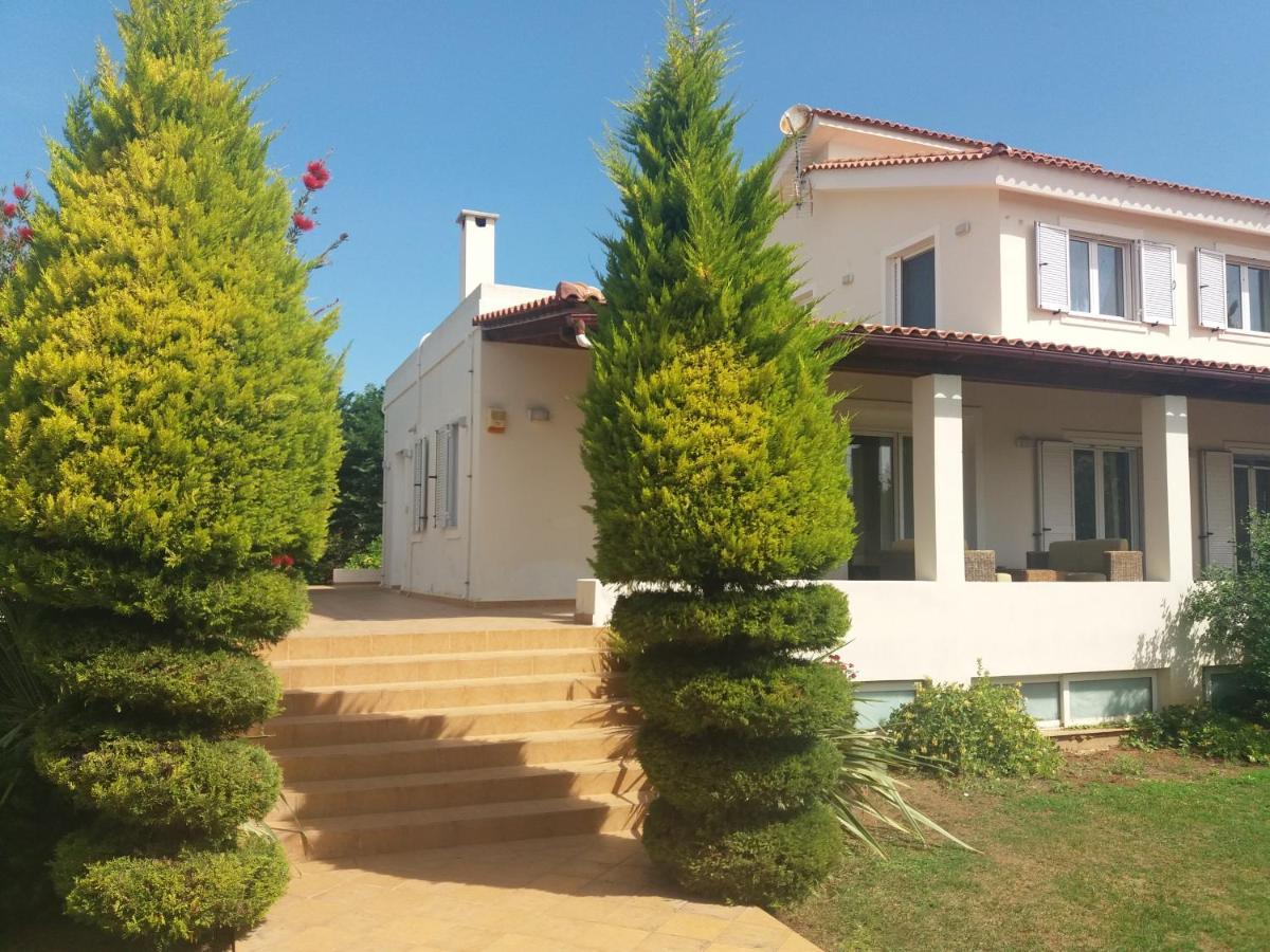 Beautiful Summer Villa In Chalkoutsi Khalkoutsion Buitenkant foto