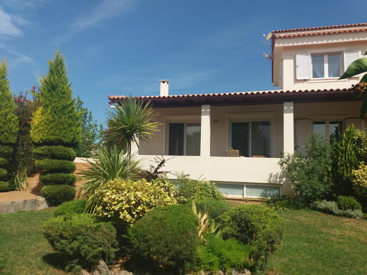 Beautiful Summer Villa In Chalkoutsi Khalkoutsion Buitenkant foto