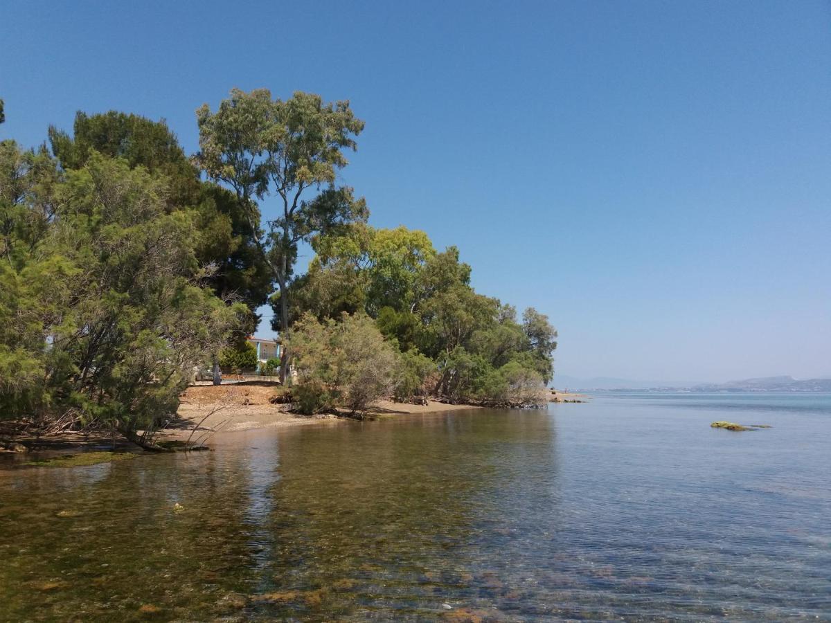 Beautiful Summer Villa In Chalkoutsi Khalkoutsion Buitenkant foto