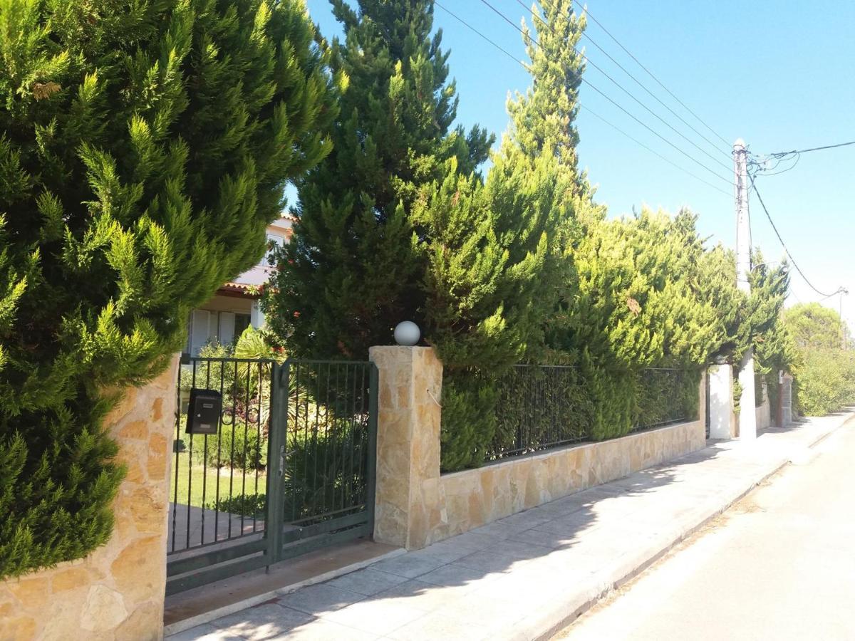Beautiful Summer Villa In Chalkoutsi Khalkoutsion Buitenkant foto